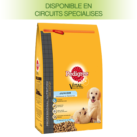 Pedigrée Croquettes Junior 3 Kg