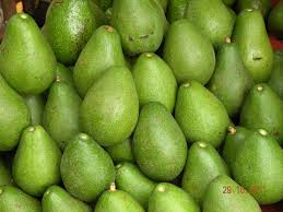 Avocado From Santo Domingo 1 Kg