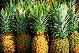 Golden pineapple 7/8 From US