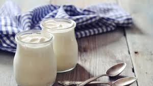 Plain Yogurt