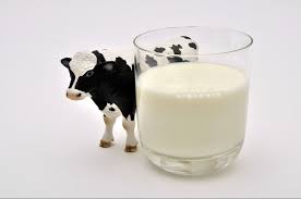 Half skimmed Milk 1 L