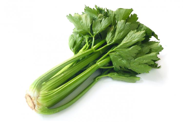 Celery - Unit