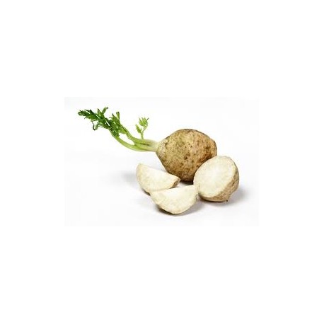 Celeriac - Kg