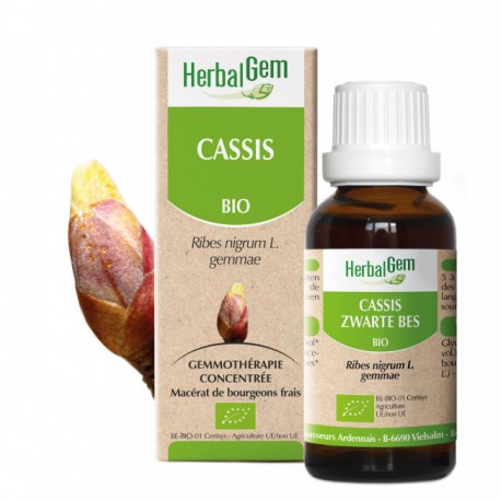 Blackcurrant 15ml