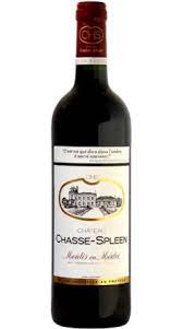 Chasse Spleen / Moulis en Médoc -2021-75cl