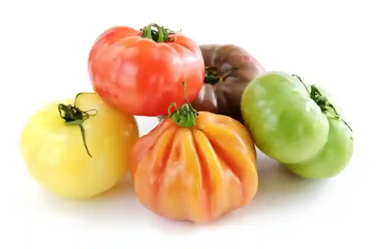 Old Tomato - Kg