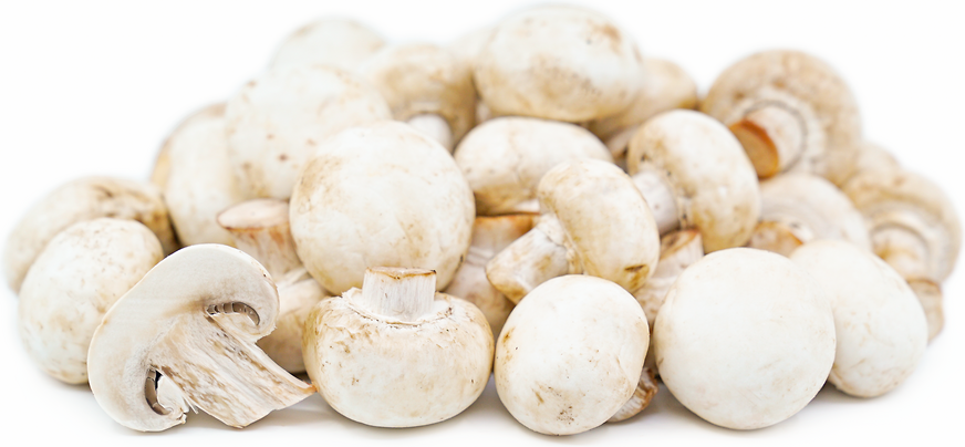 Champignons de Paris 250g