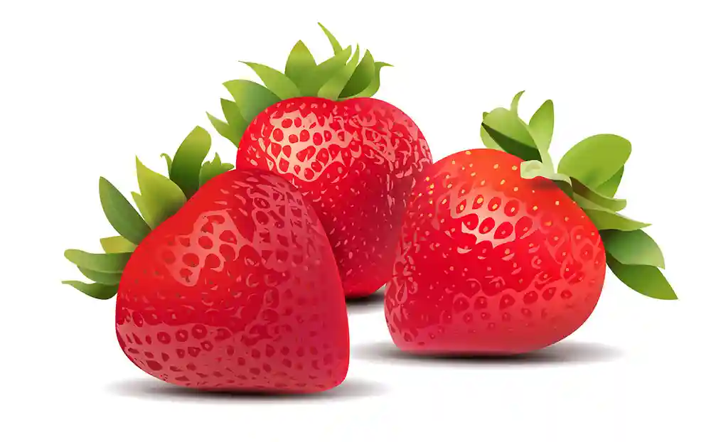 Fraise - Barquette