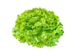 Salade Batavia Verte - Unité